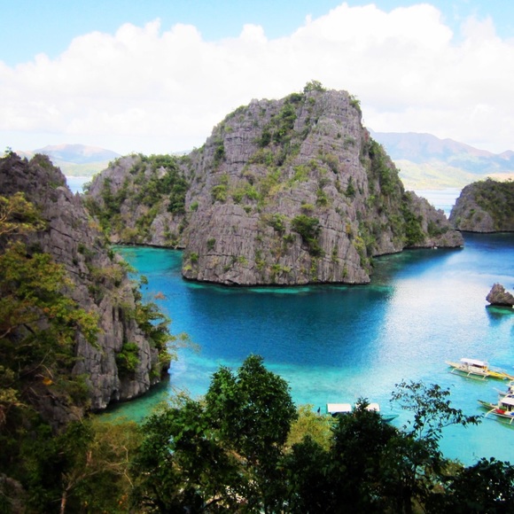 Meet your Posher, Leilani! - Picture 2 of 6